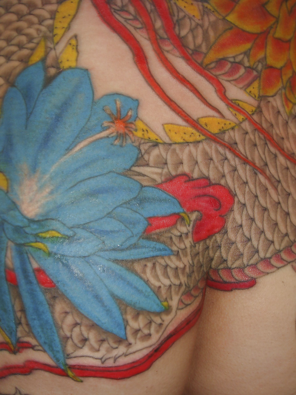 Tatuajes tradicionales japoneses en las mujeres
 #9391331