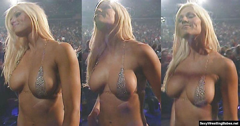 Torrie Wilson - WWE Diva mega collection 2 #13496229