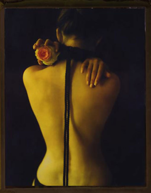 Pour elle 36
 #7848406