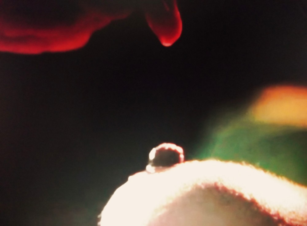 CeleBigNips #8313937