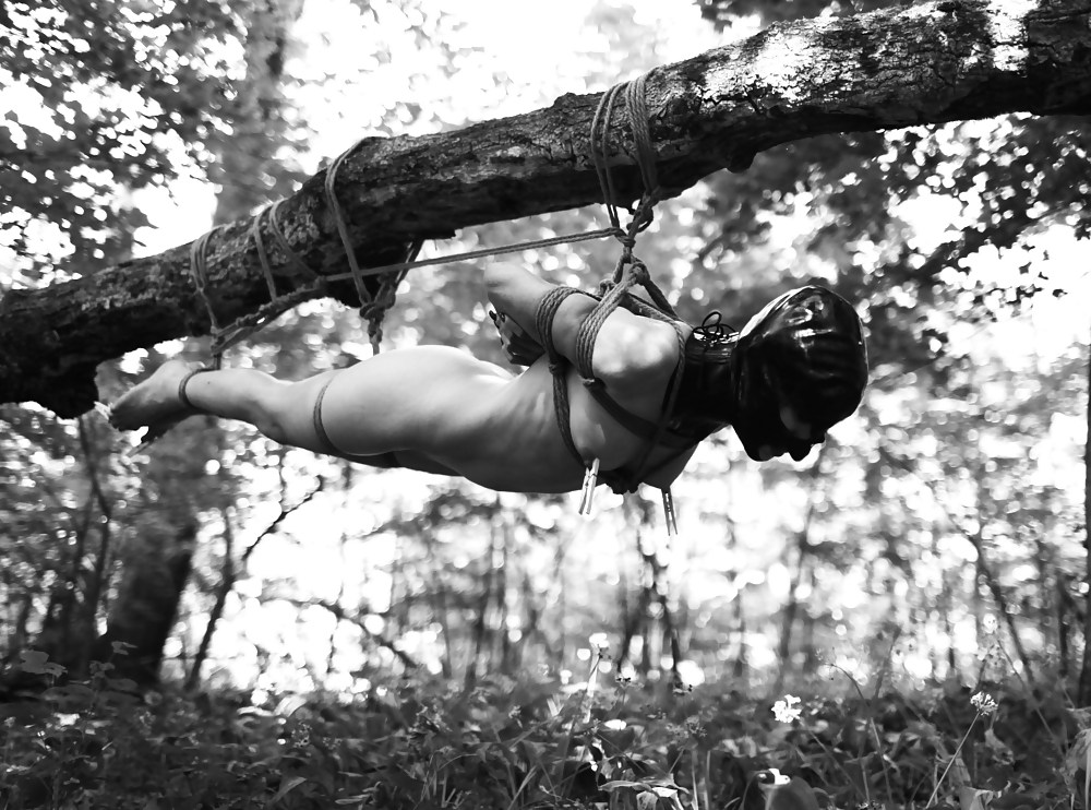 ルーマニアのアマチュア
 #16913705