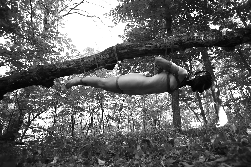 ルーマニアのアマチュア
 #16913710