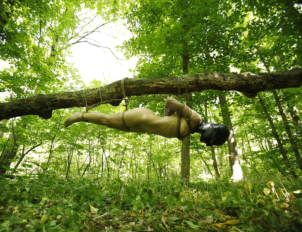 ルーマニアのアマチュア
 #16913718