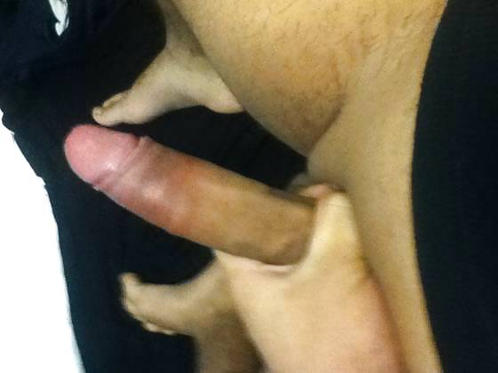 Latin cock