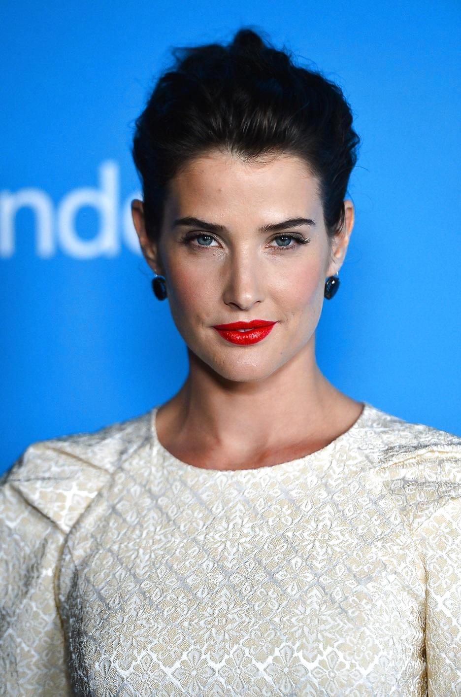 Cobie Smulders #14462912