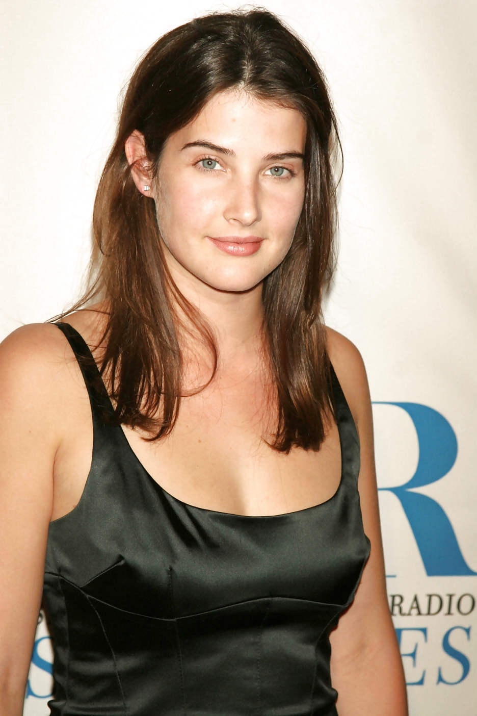 Cobie Smulders #14463042