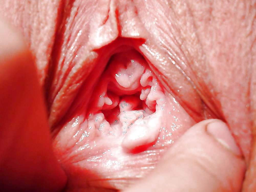 PUSSY LA CHATTE ... #9307116