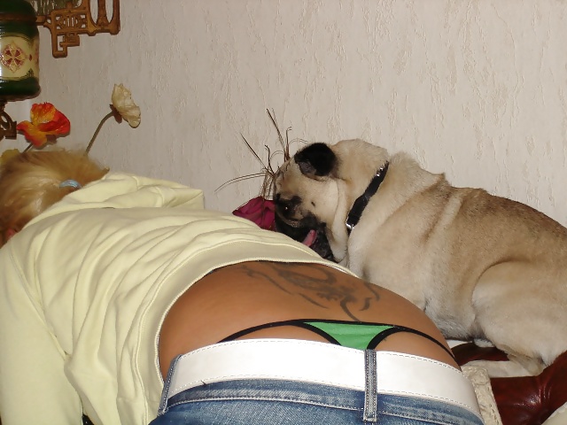 Tanga guckt raus #3902291