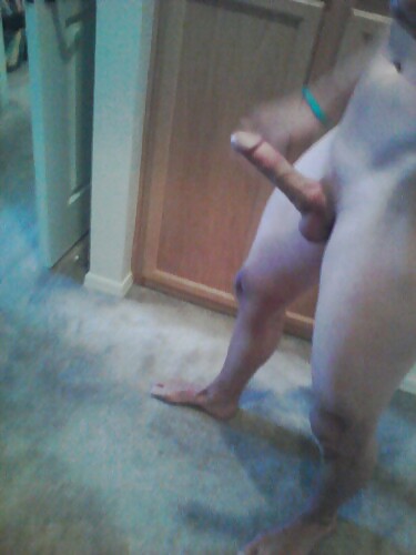 マリオ
 #16699281