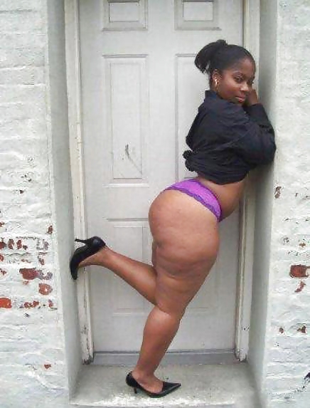 ASS EXTRAVAGANZA vol3 Models  #10183007