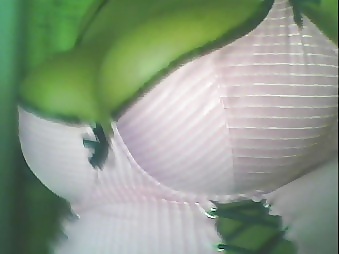 私を覚えていますか？(bbwladii)
 #12817945