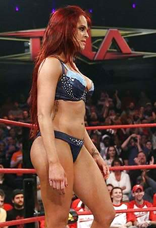 Christy Hemme - Tna Knockout, Wwe Diva Mega Collection #1868141