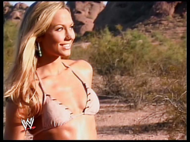 Stacy Keibler - Wwe Diva Mega Collection #1700833