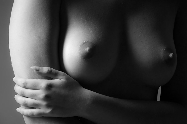 JPP Gallery #9991650