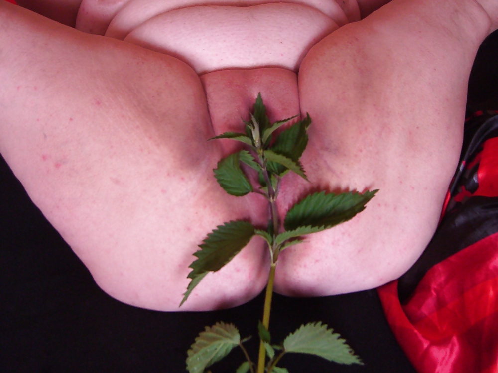 Nachschlag
 #8298408