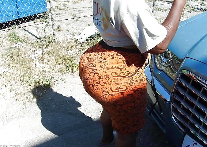 Ass-01
 #3259783