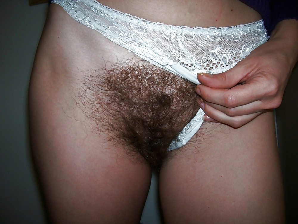 Hairy pussy in panties. #12249960