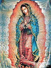 Hidden Faces #13780758