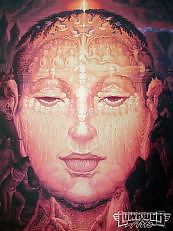 Hidden Faces #13780787