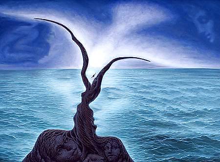 Hidden Faces #13780829