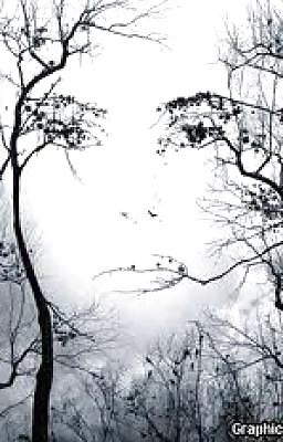 Hidden Faces #13780862