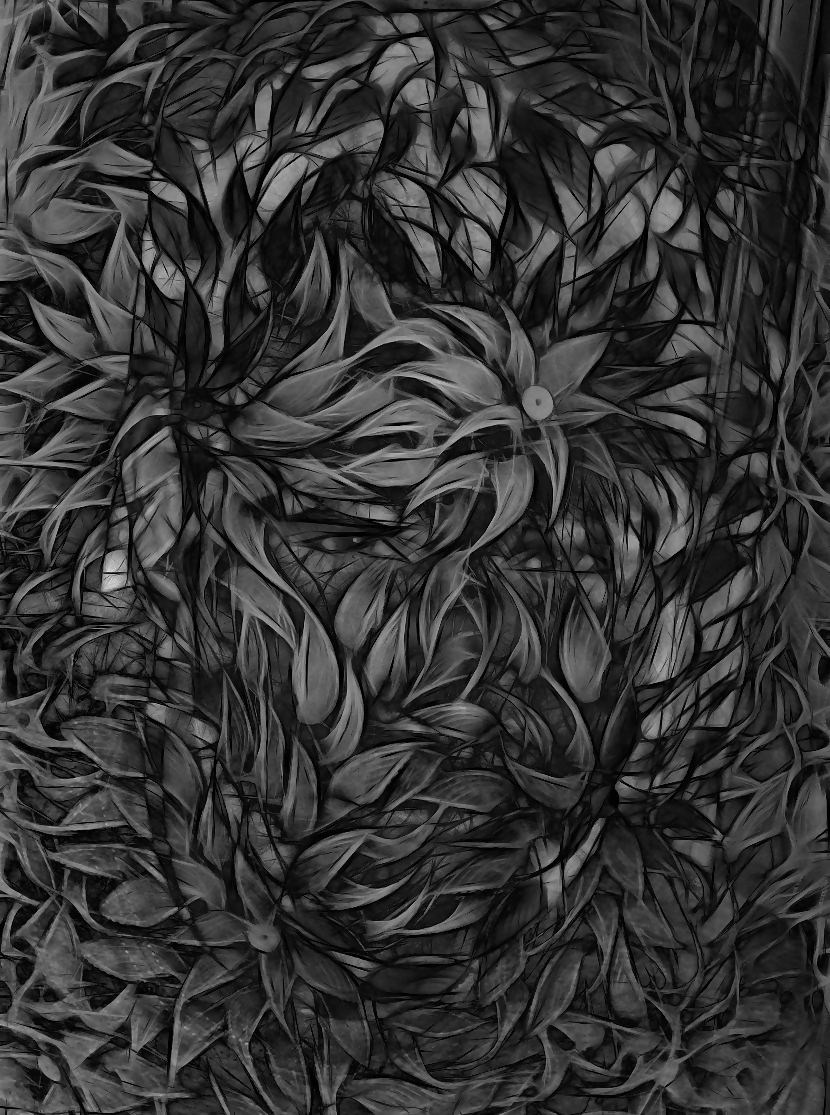 Hidden Faces #13780878