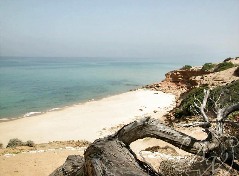 BEAUTIFUL HOLIDAY SNAPS  #10010951