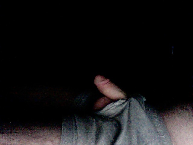 Cock #3501098