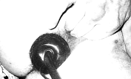 Coño y más...
 #19882025