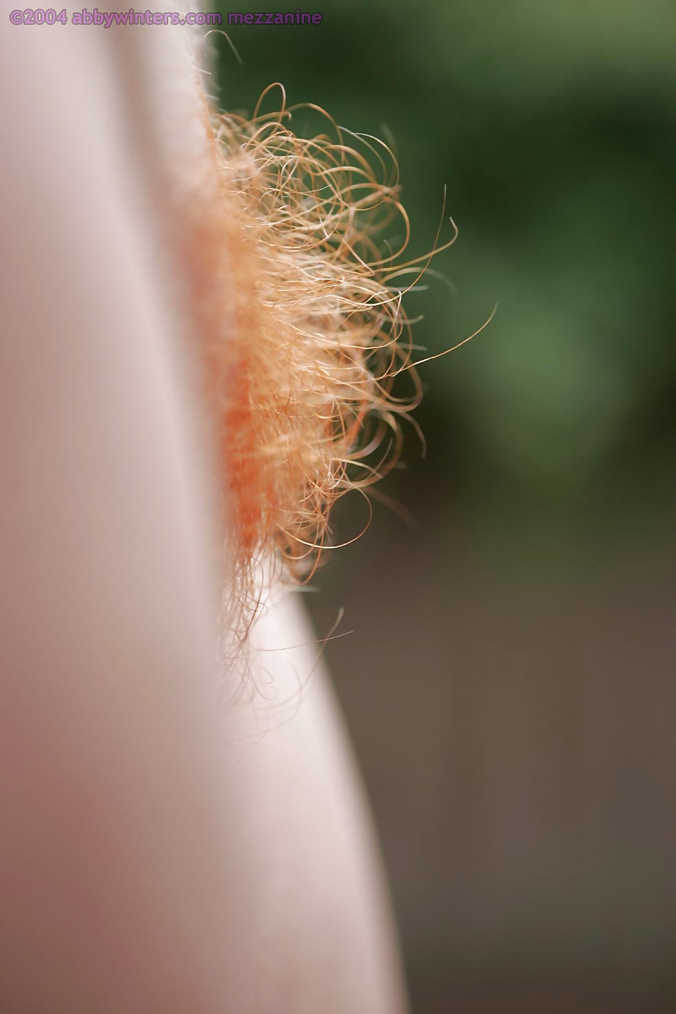 Nice hairy close-up  #2457325