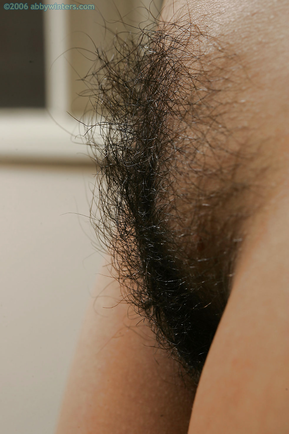 Nice hairy close-up  #2457343
