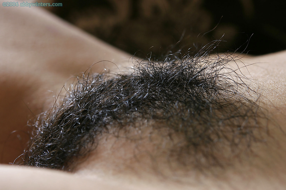 Nice hairy close-up  #2457351