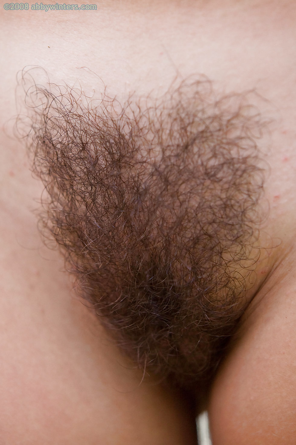 Nice hairy close-up  #2457368