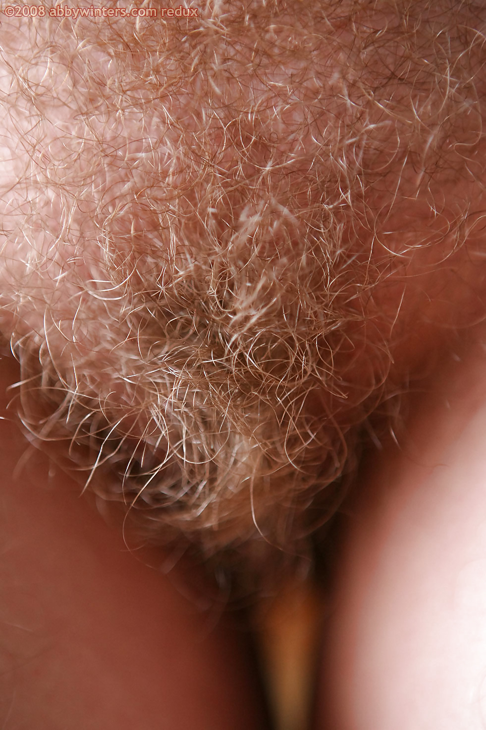 Nice hairy close-up  #2457407