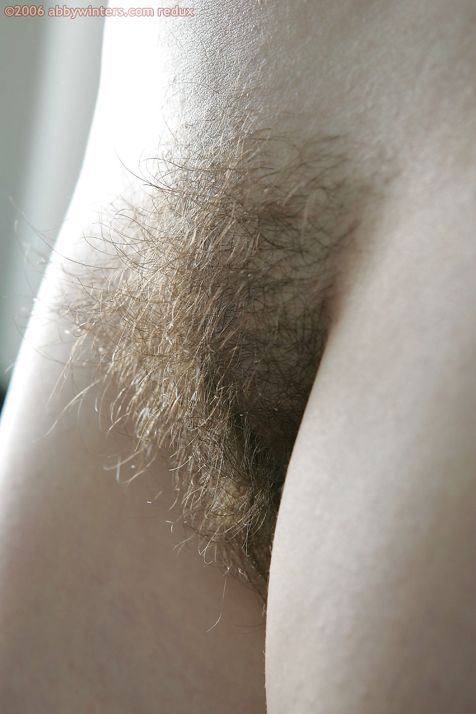 Nice hairy close-up  #2457452
