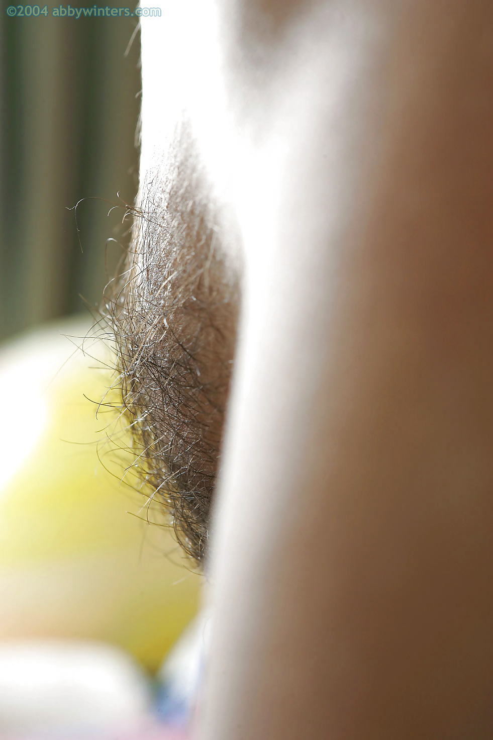 Nice hairy close-up  #2457519