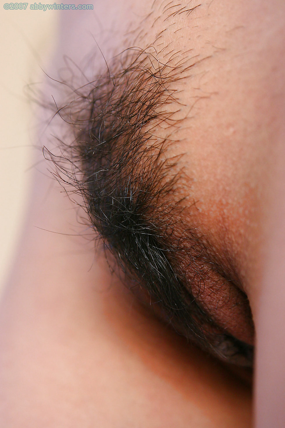 Nice hairy close-up  #2457529