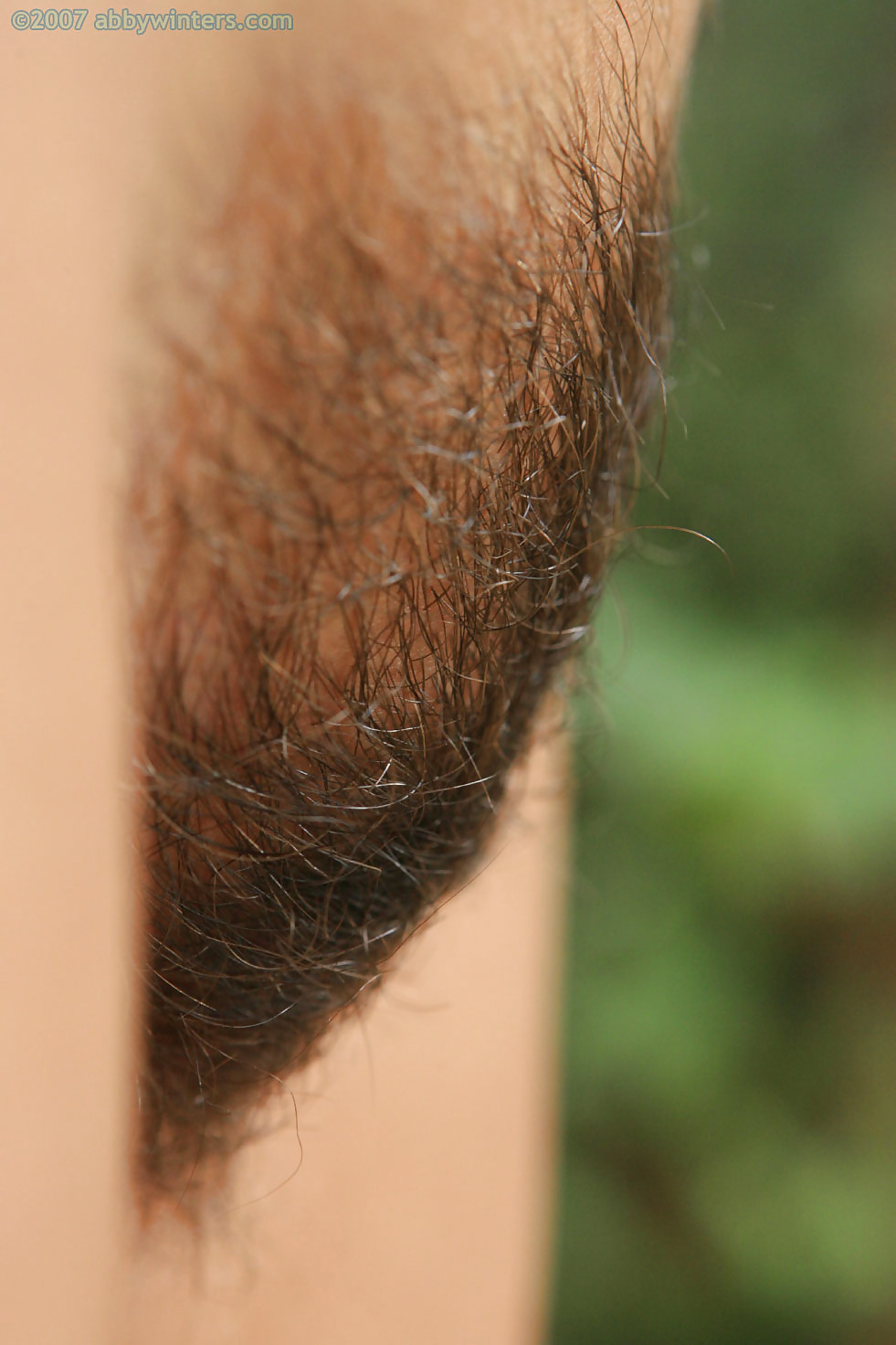 Nice hairy close-up  #2457566