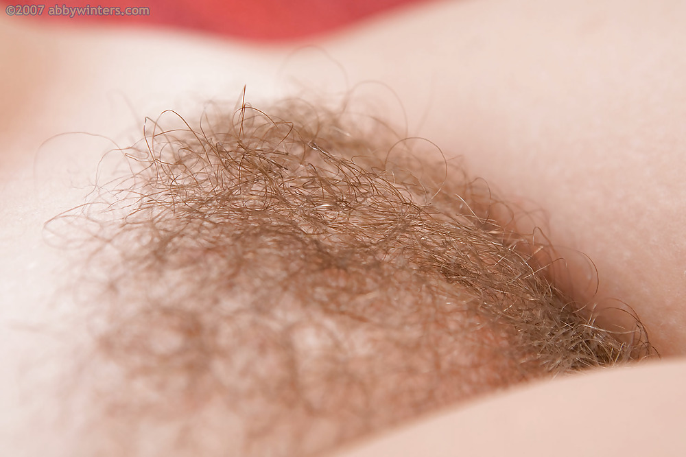 Nice hairy close-up  #2457574