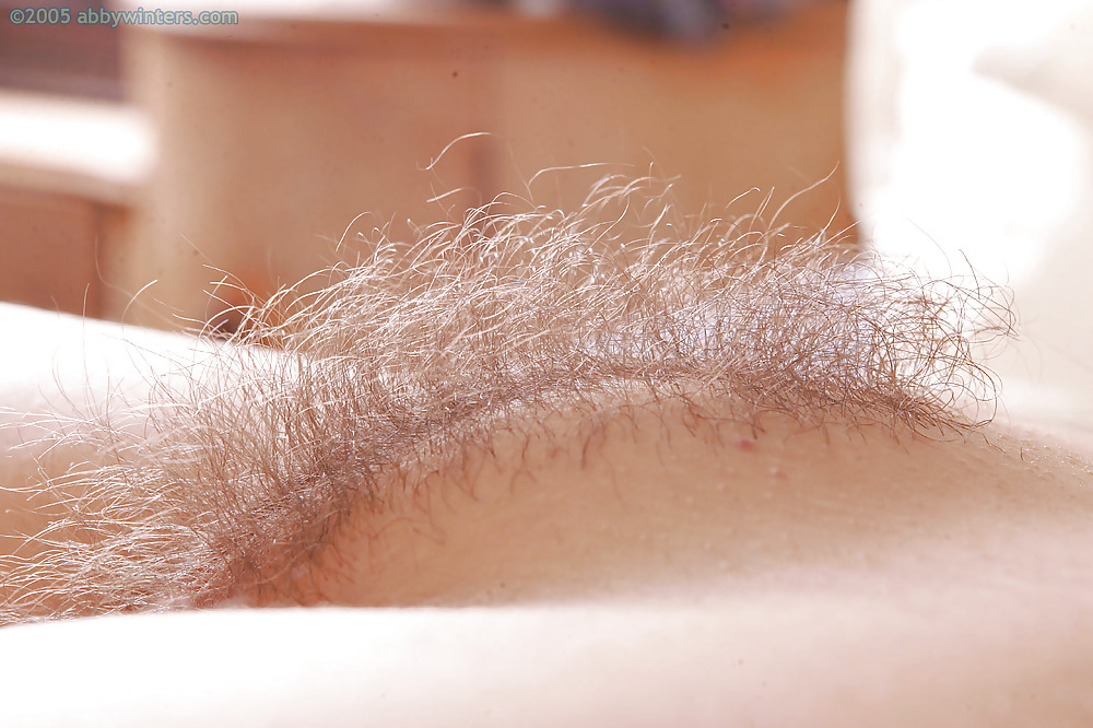 Nice hairy close-up  #2457606