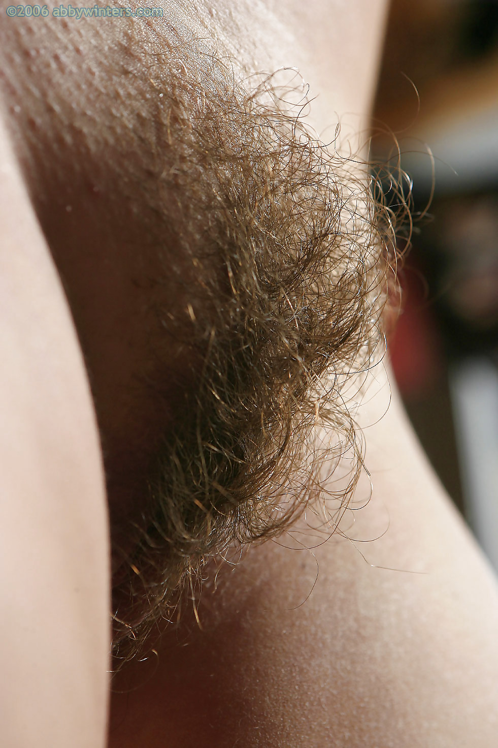 Nice hairy close-up  #2457619