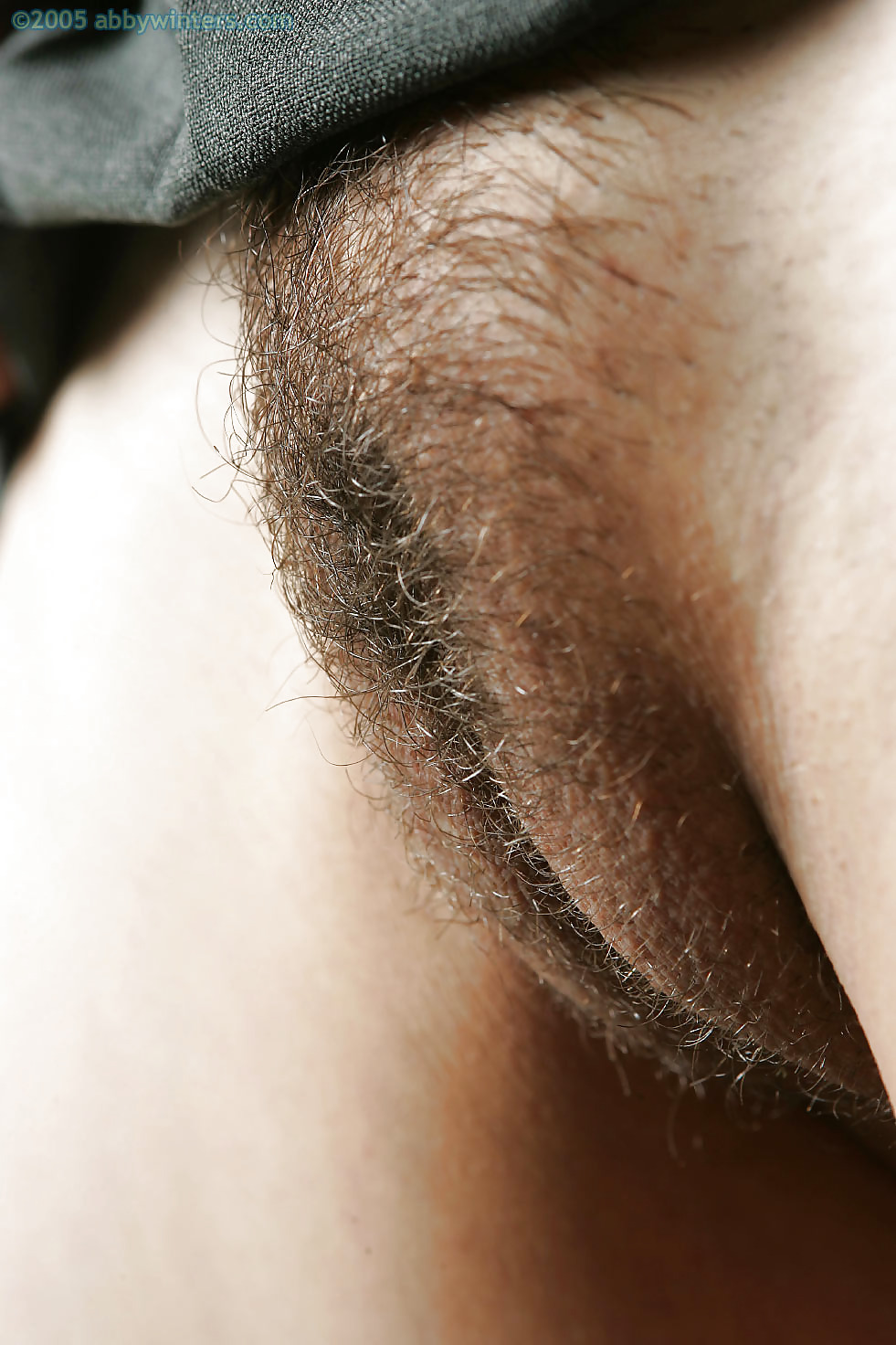Nice hairy close-up  #2457630