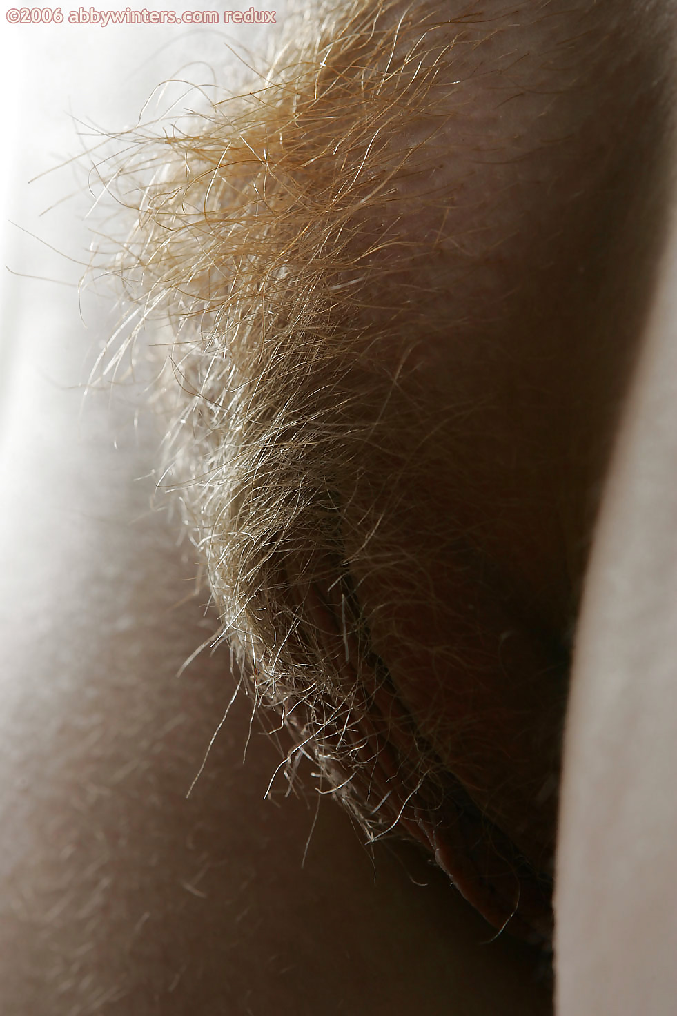 Nice hairy close-up  #2457664