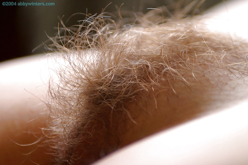 Nice hairy close-up  #2457670