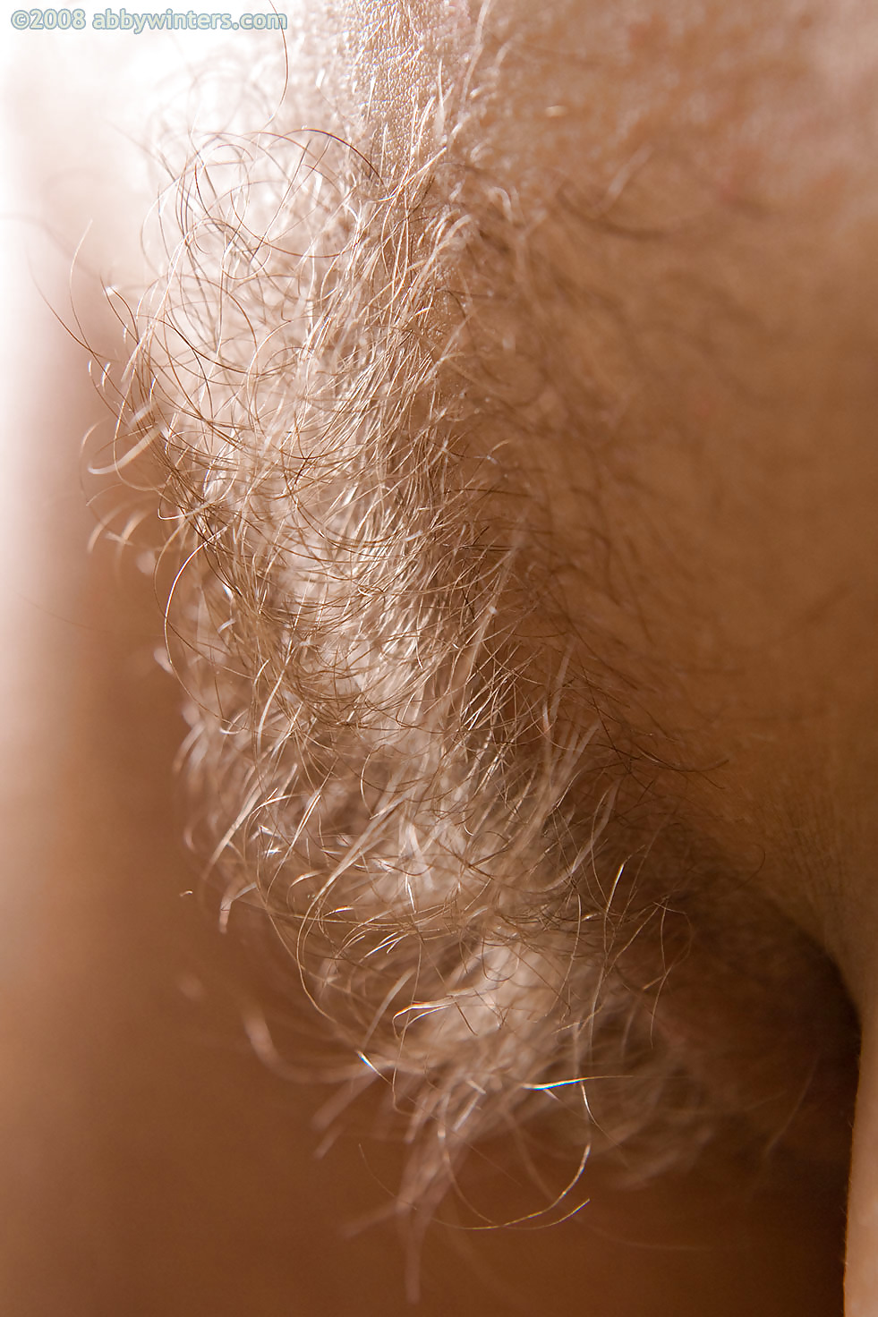 Nice hairy close-up  #2457696
