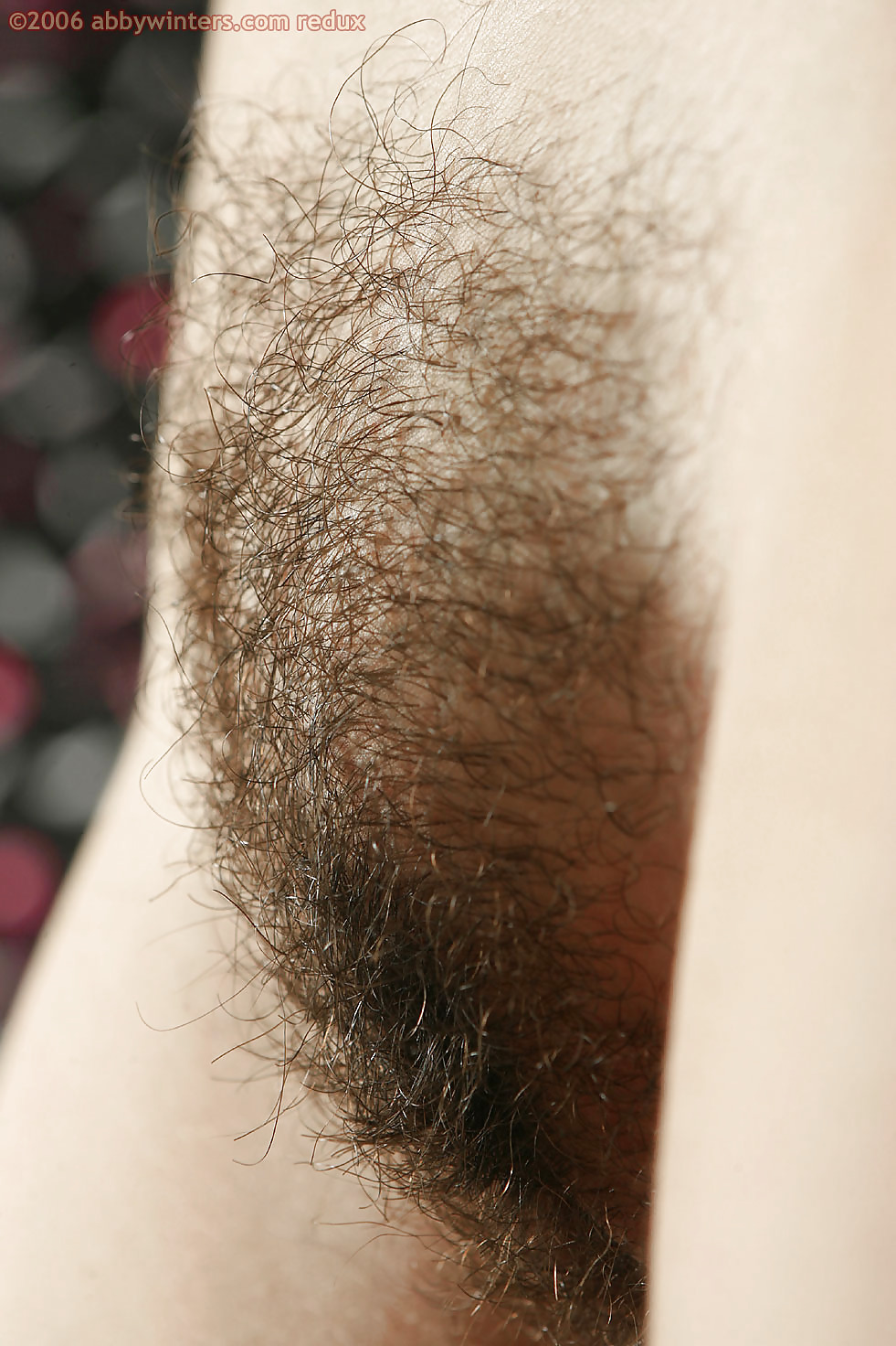Nice hairy close-up  #2457781