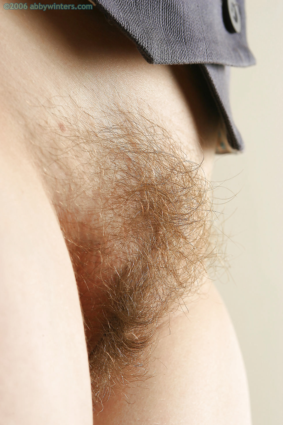 Nice hairy close-up  #2457834