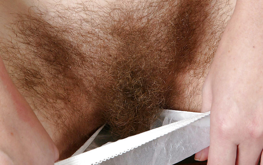 Hairy #3706408