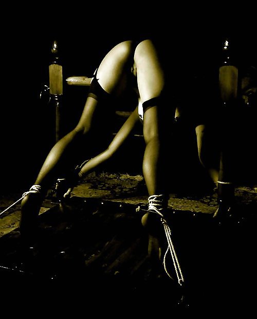 Murky and White 318! #10012831