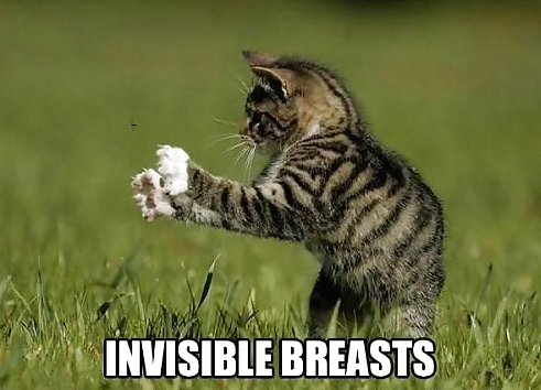 Huge Breasts (With Cats) #14844013